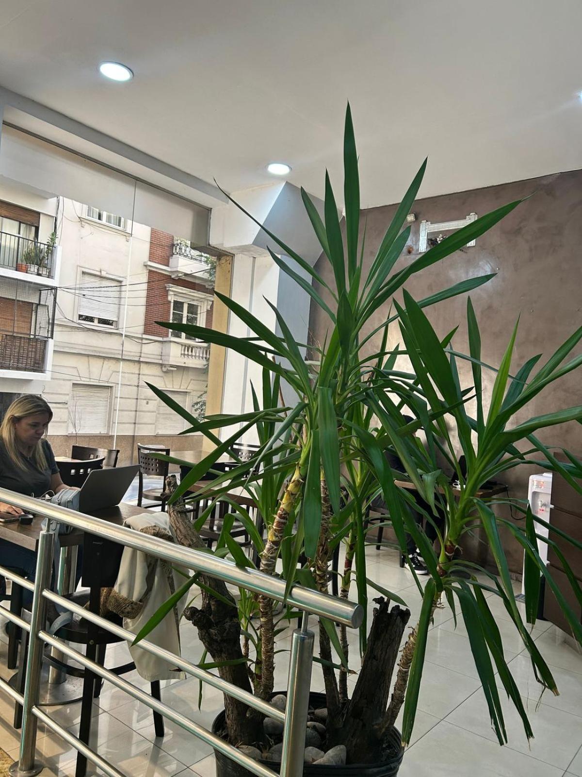 Hostel Che Ba Buenos Aires Exteriör bild